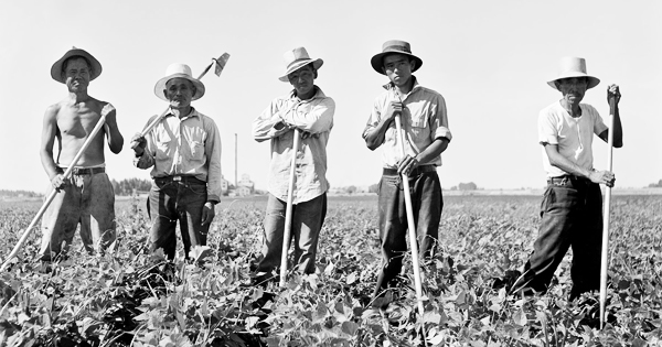 8c325008c32543a