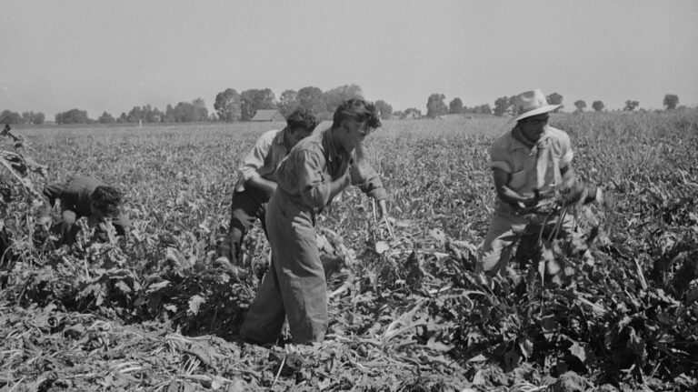 11 Built to Divide Paiz_Mexican_agricultural_laborers