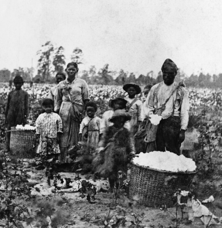 Slave Family In Cotton Field near Savannah