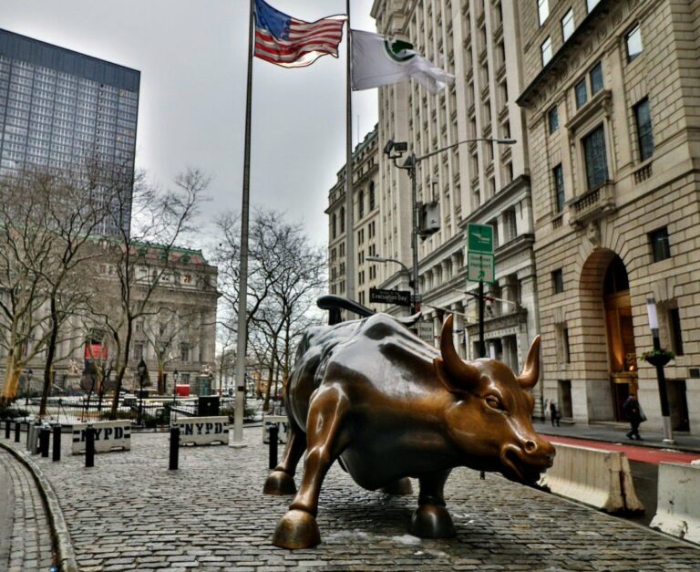 6 Built to Divide bull